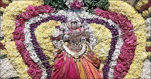 திருவண்ணாமலை அண்ணாமலையார் கோயில் கார்த்திகை தீபத் திருவிழாவை முன்னிட்டு நேற்று சிறப்பு அலங்காரத்தில் எழுந்தருளிய பிடாரி அம்மன்.