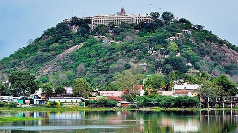 விடுமுறை தினத்தை முன்னிட்டு பழநி கோயிலில் அலைமோதிய பக்தர்கள்: அதிக அளவில் பஞ்சாமிர்தம் விற்பனை