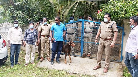 விசாரணையில் ஈடுபடும் போலீஸார்