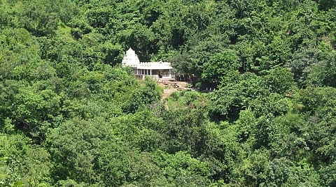 108 வைணவ திவ்ய தேச உலா - 74 | அகோபிலம் பிரகலாத வரதன் கோயில்