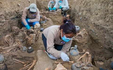 புகழ்பெற்ற தொல்லியல் கல்வி நிறுவனங்கள்