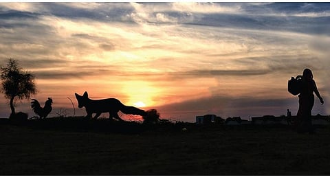 கிராமத்து அத்தியாயம் - 6: பேரனுக்குக் கோழியும் நரியும்