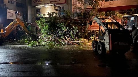 மரங்களை அகற்றும் மாநகராட்சி ஊழியர்கள்