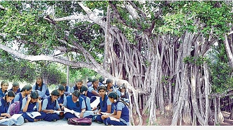 வாசிப்புவழி தூண்டுவோம்… போதி மரத்தடியாய்…