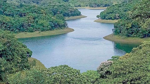 தமிழ்நாடு காலநிலை மாற்ற இயக்க ஆவணம் வெளியீடு: ரூ. 5 கோடியில் பசுமைப் பள்ளிக்கூடம் திட்டம்