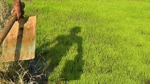 விவசாயிகளைக் கைவிடலாமா திமுக அரசு?