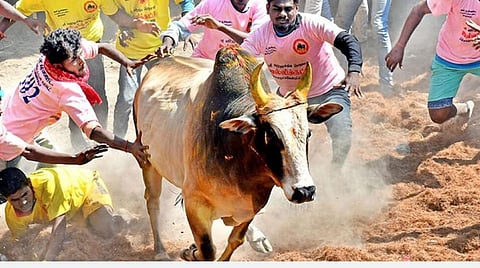 கோப்புப் படம் |