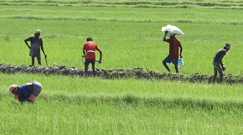 தேசிய விவசாயிகள் தினம் - முதல்வர் ஸ்டாலின், தலைவர்கள் வாழ்த்து