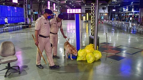கடத்தல் போதை பொருட்களை கண்டுபிடிக்க விமான நிலையத்தில் சுங்கத் துறைக்கு புதிய மோப்ப நாய்