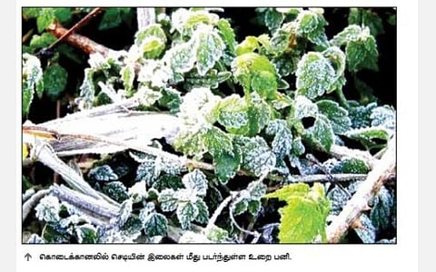 உறை பனியால் காஷ்மீராக மாறிய கொடைக்கானல்: இரவில் வாட்டும் கடும் குளிர்