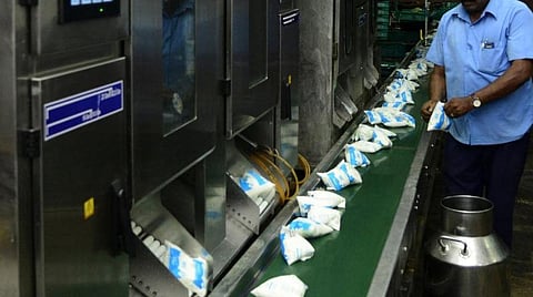 விதிமீறி நியமனங்கள் | ஆவின் நிறுவனத்தில் 236 பேர் பணிநீக்கம்: 26 அதிகாரிகள் மீது துறைரீதியான நடவடிக்கைக்கு பரிந்துரை