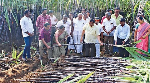 பொங்கல் பரிசுத் தொகுப்பில் வழங்குவதற்காக, பூலாம்பட்டியில், விவசாயிகளிடம் இருந்து அரசு சார்பில் நேரடியாக கரும்பு கொள்முதல் செய்யப்படுவதை, மாவட்ட ஆட்சியர் கார்மேகம் ஆய்வு செய்தார்.