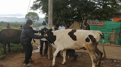 பிரதிநிதித்துவப் படம்