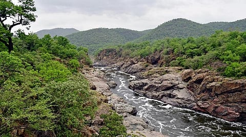 மேகதாது அணை கட்டுவதைத் தடுக்க தேவையான நடவடிக்கைகளை அரசு மேற்கொண்டு வருகிறது என்று தமிழக ஆளுநர் உரையில் தெரிவிக்கப்பட்டுள்ளது.