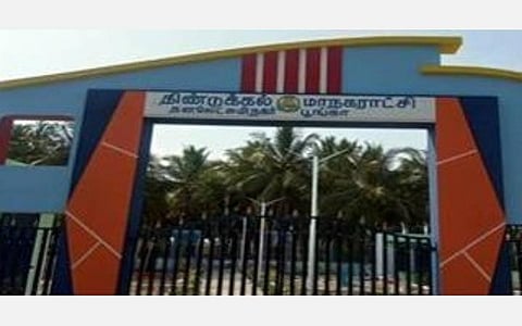 திண்டுக்கல்லில் புதர்மண்டி கிடக்கும் பூங்காக்களில் விளையாடும் சிறுவர்கள்