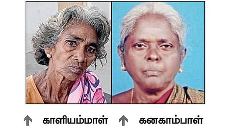 கனகாம்பாள்