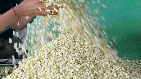 பிரதிநிதித்துவப்படம்.