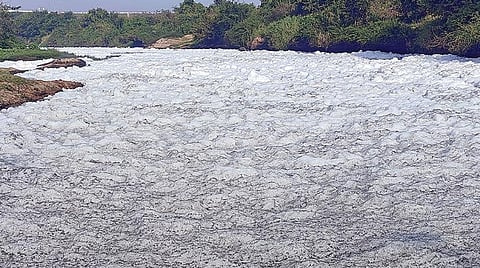 ஓசூர் கெலவரப்பள்ளி அணையில் இருந்து ரசாயன நுரை பொங்க தண்ணீர் வெளியேறுகிறது. படம்: கி.ஜெயகாந்தன்