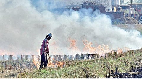 மாசில்லா காற்றினைத் தேடி…