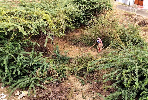 கோப்புப்படம்