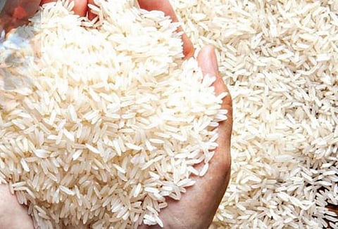 செறிவூட்டப்பட்ட அரிசி | கோப்புப் படம்