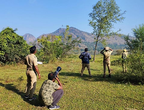 தமிழ்நாடு வனத்துறை சார்பில் பழநியில் பறவைகள் கணக்கெடுப்பு.