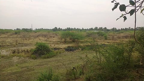 வறண்ட நிலையில் காணப்படும் கழுமரம் கிராம ஏரி