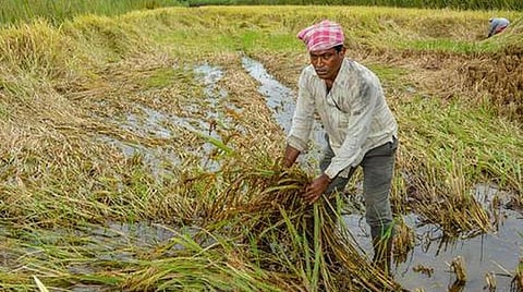 பிரதிநிதித்துவப் படம்