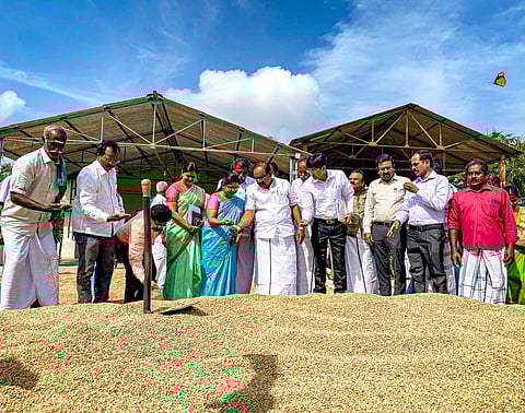 தஞ்சாவூர் மாவட்டம் அம்மாப்பேட்டை அருகே புத்தூரில் மழையினால் பாதிக்கப்பட்ட நெற்பயிர்களை பார்வையிடும் அமைச்சர் அர.சக்கரபாணி. | படம் ஆர்.வெங்கடேஷ்