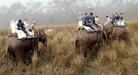 பிளஸ் 2க்குப் பிறகு - 15: ஊர் சுற்றவும் ஒரு படிப்பு!