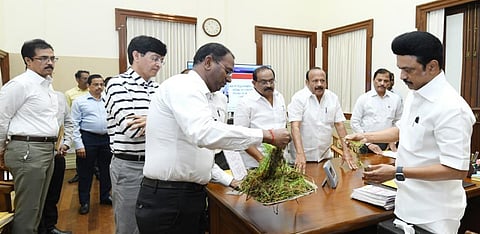 சேதமடைந்த பயிர்களை பார்வையிட்ட முதல்வர் மு.க.ஸ்டாலின்