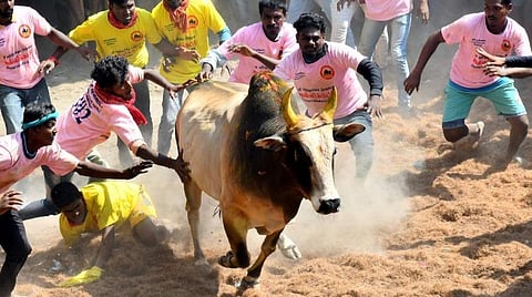 பிரதிநிதித்துவப் படம்