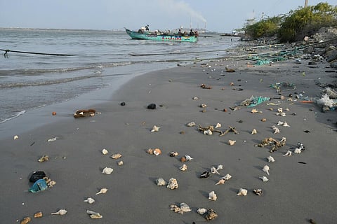 கடற்கரை பகுதிகள்