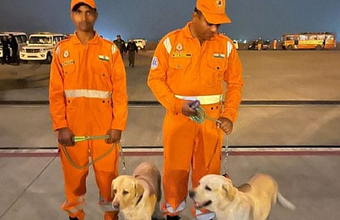 மோப்ப நாய்களுடன் இந்திய மீட்புக் குழு