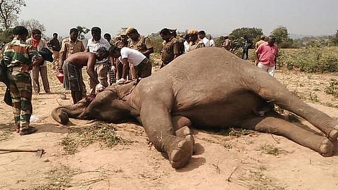 பிரதிநிதித்துவப் படம்