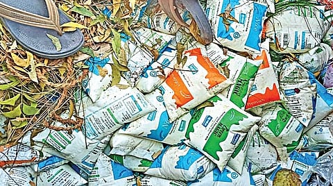 சென்னை வில்லிவாக்கத்தில் உள்ள அகத்தீஸ்வரர் கோயிலில் நேற்று முன்தினம் நடைபெற்ற மகா சிவராத்திரி விழாவில் பால் அபிஷேகத்துக்காக பக்தர்களால் வழங்கப்பட்ட பால் பாக்கெட்கள் பயன்படுத்தப்படாமல் குப்பையில் வீசப்பட்டிருந்தன. படம்: ம.பிரபு