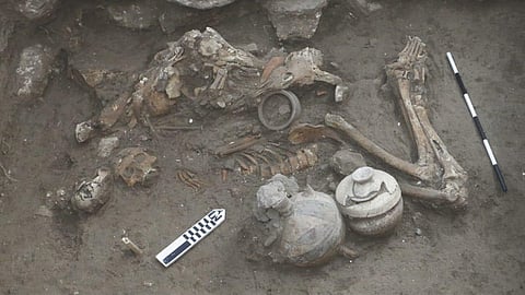 ஆராய்சியின்போது கண்டெடுக்கப்பட்ட எலும்பு எச்சங்கள்