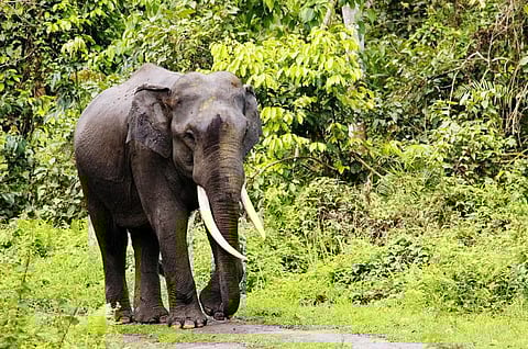 பிரதிநிதித்துவப்படம்