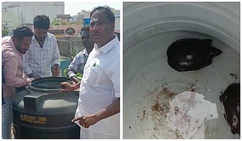 புதுச்சேரி குடிசைமாற்று வாரிய குடிநீர்த் தொட்டியில் இருந்து மீட்கப்பட்ட ஆமைகள்