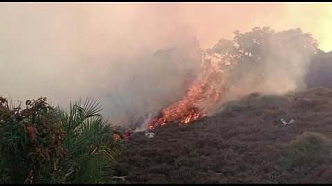 கோவை வெள்ளியங்கிரி மலையில் ஏற்பட்ட காட்டுத்தீ.