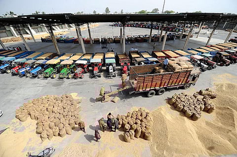 ஆப்கனுக்கு கூடுதலாக 20 ஆயிரம் டன் கோதுமை - ஈரான் வழியாக அனுப்புகிறது இந்தியா