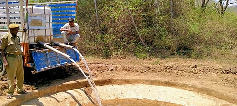 கோடைக்காலங்களில் வன விலங்குகள் ஊருக்குள் நுழைவதைத் தடுக்க நடவடிக்கை - தேன்கனிக்கோட்டை வனத்துறை தீவிரம்