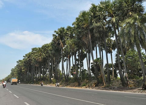 மகாபலிபுரம் சாலை | கோப்புப் படம்