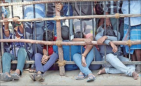 சென்னை சேப்பாக்கம் மைதானத்தில் வரும் 22-ல் நடைபெற உள்ள இந்தியா - ஆஸ்திரேலியா இடையிலான ஒரு நாள் கிரிக்கெட் போட்டிக்கான டிக்கெட் விற்பனை நேற்று தொடங்கியது. டிக்கெட் வாங்க அதிகாலை முதல் நீண்ட வரிசையில் காத்திருந்த ரசிகர்கள். படங்கள்: ம.பிரபு