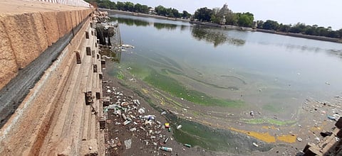 கோடை வெயில்: மதுரை வண்டியூர் தெப்பக்குளத்தில் சுற்றுலா பயணிகள் வருகை குறைவு - தீர்வு என்ன?