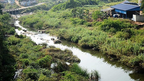 வசிஷ்டா ஆறு | கோப்புப்படம்