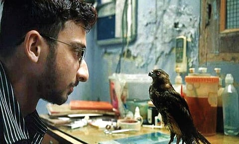 ஆல் தட் பிரீத்ஸ்: மனங்களை வென்ற ஆவணப்படம்