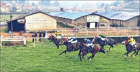 உதகையில் தொடங்கிய குதிரை பந்தயத்தில் எல்லைக்கோட்டை தொட சீறிப்பாய்ந்து ஓடிய குதிரைகள். படம்: ஆர்.டி.சிவசங்கர்