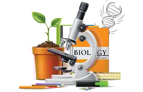 உயிரியல் துறை: படிப்பும் வாய்ப்பும்