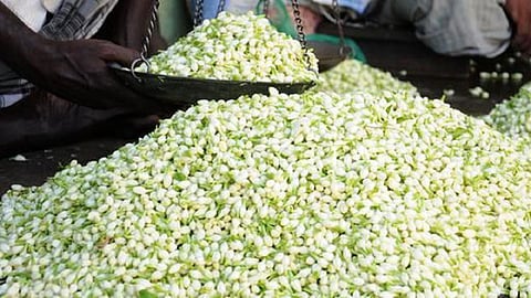 பிரதிநிதித்துவப் படம்.